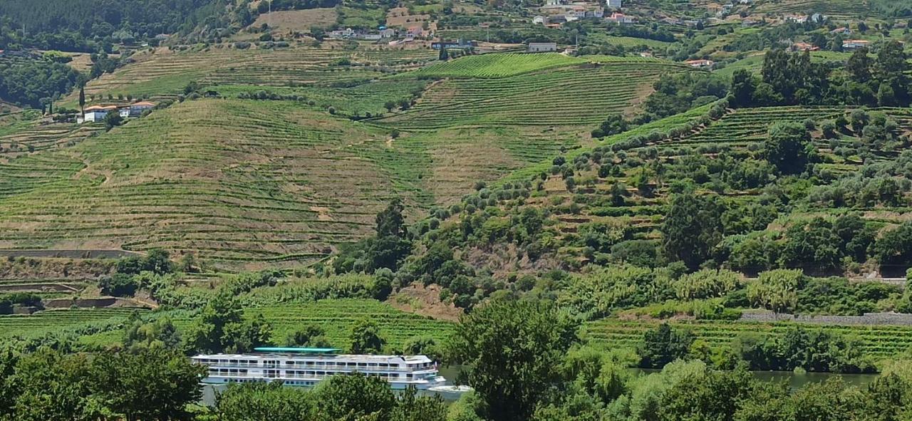 Vineyards Valley House Penajoia Exterior photo