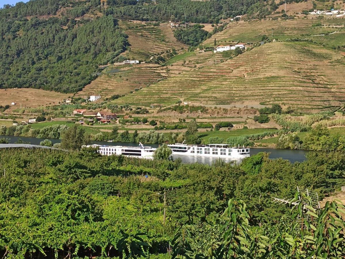 Vineyards Valley House Penajoia Exterior photo